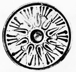 PHIALE (BOEOTIAN, BLACK PATTERN)