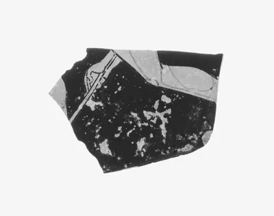 Attic Red-Figure Pelike Fragment