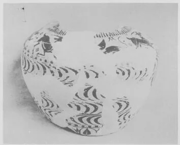 OINOCHOE, FRAGMENTS (EAST GREEK, FIKELLURA)