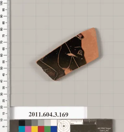 Terracotta fragment of an amphora (jar)