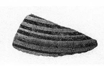PYXIS LID, FRAGMENT (CORINTHIAN)
