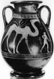 PELIKE (ATHENIAN, RED-FIGURE)