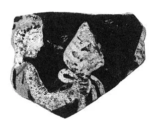 OINOCHOE, FRAGMENT (ETRUSCAN, PSEUDO RED-FIGURE)