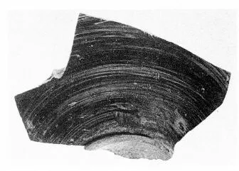 SKYPHOS, FRAGMENT (CORINTHIAN)