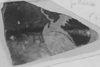 CUP, FRAGMENT (ATHENIAN, RED-FIGURE)