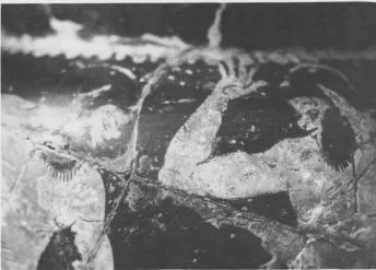 KRATER, COLUMN (ETRUSCAN, PSEUDO RED-FIGURE)