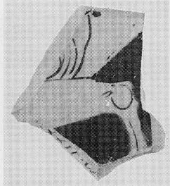 CUP, FRAGMENT (ATHENIAN, RED-FIGURE)