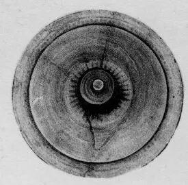 LID (ATHENIAN, BLACK-FIGURE)