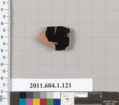 Terracotta fragment of a kylix (drinking cup)