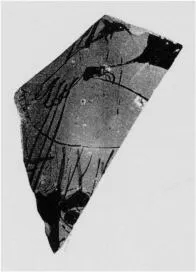 KRATER, BELL, FRAGMENT (ATHENIAN, RED-FIGURE)