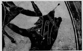AMPHORA, BELLY, TYPE B (ATHENIAN, BLACK-FIGURE)