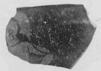 CUP, FRAGMENT (ATHENIAN, RED-FIGURE)