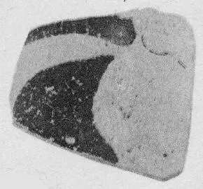 FRAGMENT (ATHENIAN, RED-FIGURE)