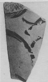 AMPHORA, BELLY, FRAGMENTS (ATHENIAN, BLACK-FIGURE)