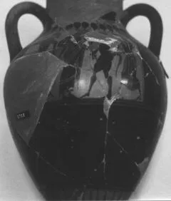 AMPHORA, BELLY, TYPE B (ATHENIAN, BLACK-FIGURE)