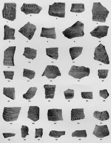 VARIOUS (VUCEDOL)