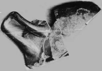 CUP, FRAGMENT (ATHENIAN, RED-FIGURE)
