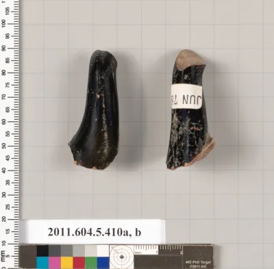 Terracotta fragments of kylikes (drinking cups)