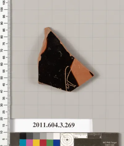 Terracotta fragment of a neck-amphora (jar)