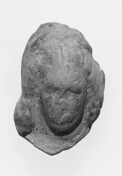 Female Head