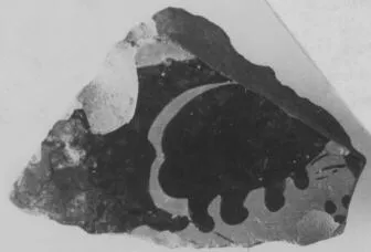 KRATER, BELL, FRAGMENT (ATHENIAN, RED-FIGURE)