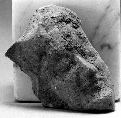Female Head (Fragment)