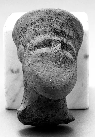 Female Head