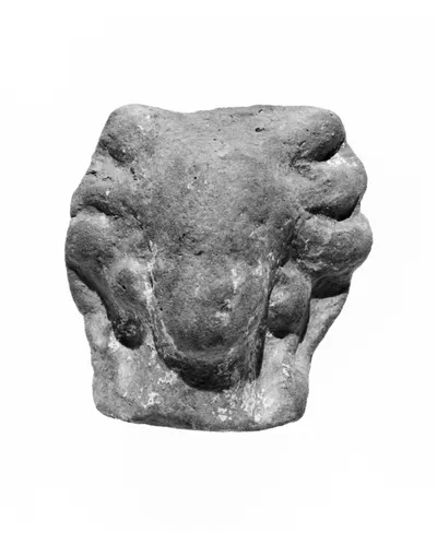Female Head