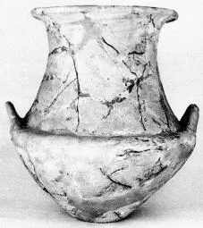 KRATER (VILLA NOVA)