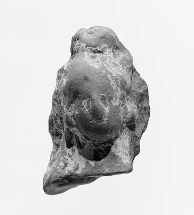 Female Head