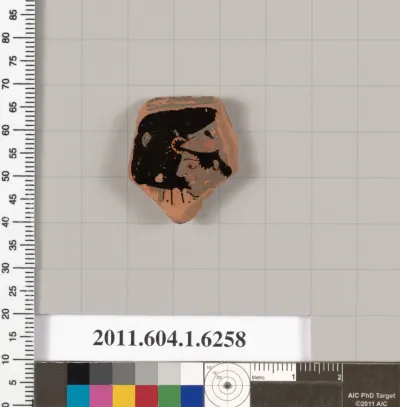 Terracotta fragment of a kylix (drinking cup)