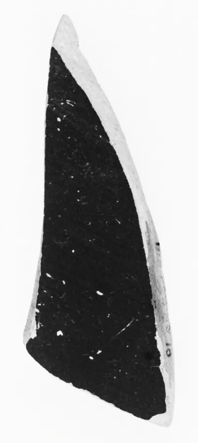 Attic Panathenaic Amphora Fragment