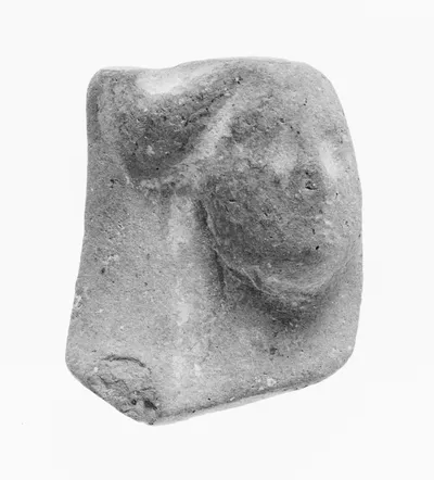 Head Fragment