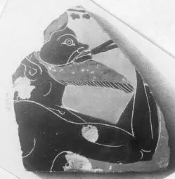 AMPHORA (?), FRAGMENT (ATHENIAN, BLACK-FIGURE)