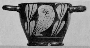 SKYPHOS (ATHENIAN, RED-FIGURE)