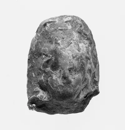 Female Head