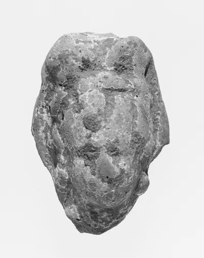 Female Head