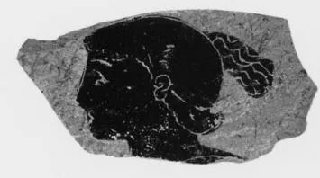 FRAGMENT (ETRUSCAN, BLACK-FIGURE)