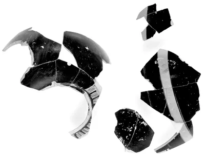 Attic Black-Figure Neck Amphora Fragment
