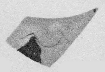 CUP, FRAGMENT (ATHENIAN, RED-FIGURE)