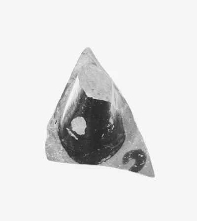 Attic Black-Figure Cup Fragment