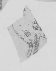 AMPHORA, BELLY, FRAGMENT (ATHENIAN, BLACK-FIGURE)