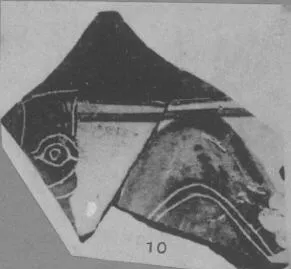 OINOCHOE, FRAGMENT (ATHENIAN, BLACK-FIGURE)