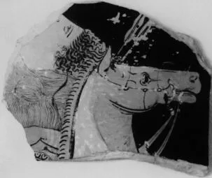 FRAGMENT (ATHENIAN, RED-FIGURE)