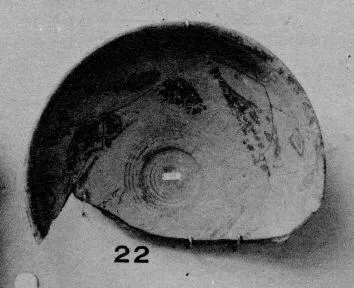 BOWL (MYCENEAN)