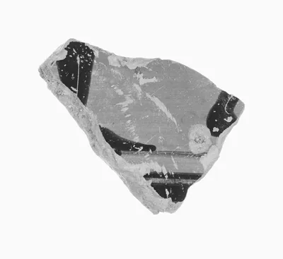 Attic Black-Figure Amphora Fragment