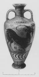 AMPHORA, BELLY (EAST GREEK, FIKELLURA, OUTLINE)