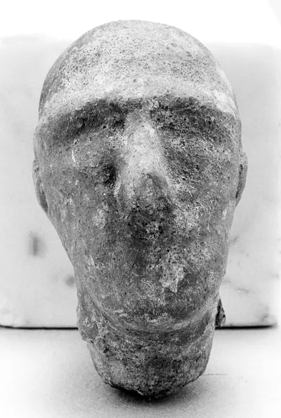 Male Head