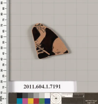 Terracotta fragment of a kylix (drinking cup)