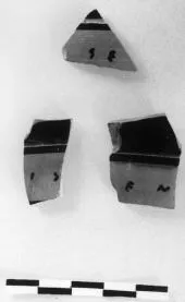 SKYPHOS, FRAGMENTS (ATHENIAN, BLACK-FIGURE)
